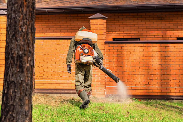 Trusted Ant Control service in Fort Collins, CO - Nex Pest Control